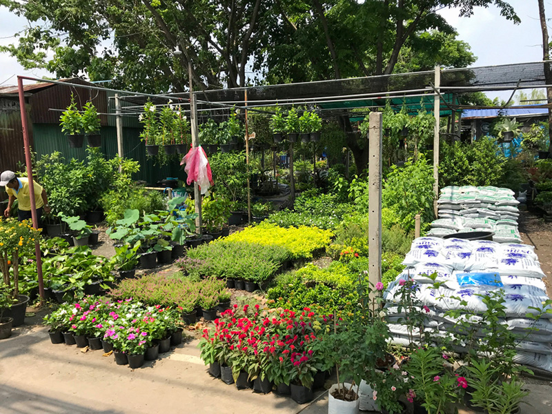 ตลาดต้นไม้ บางใหญ่