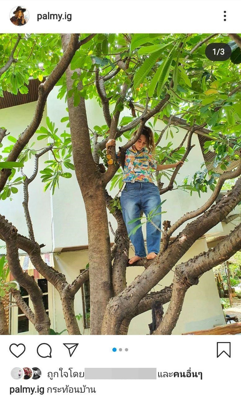 ปาล์มมี่