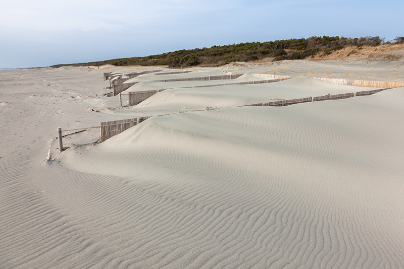 Nakatajima Sand Dunes ที่เที่ยวชิซูโอกะ