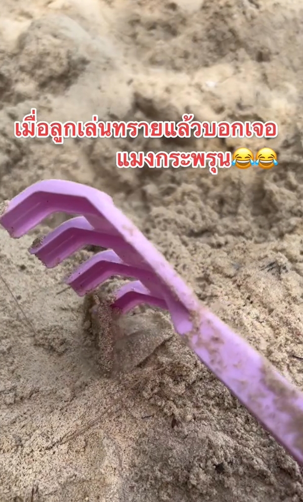 เล่นทราย