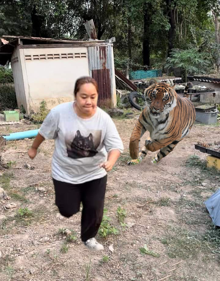 วิ่งหนีหมา