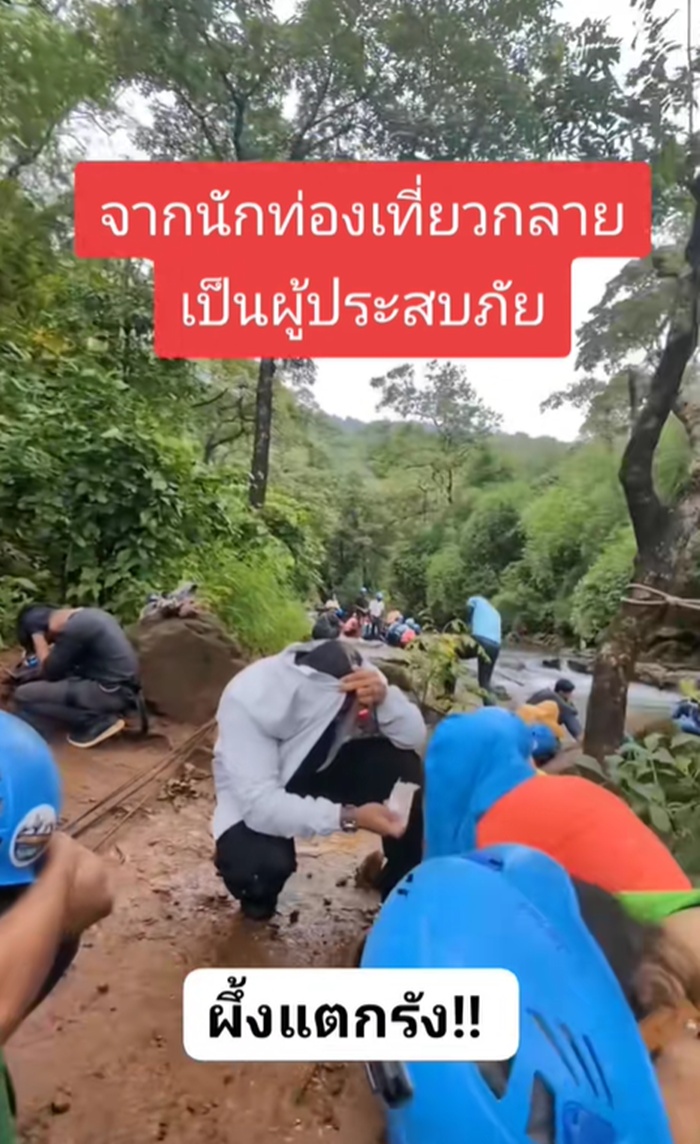 ผึ้งแตกรัง