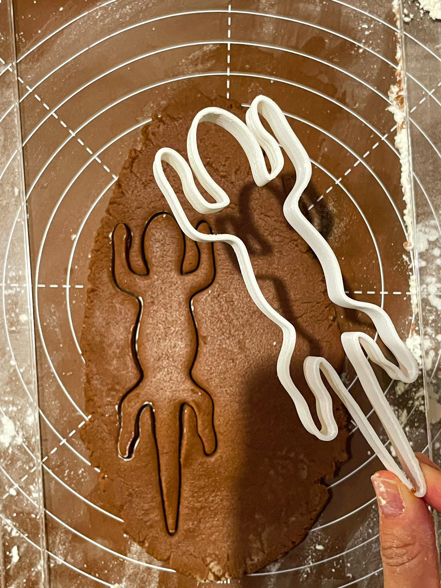 คุกกี้ซาลาแมนเดอร์