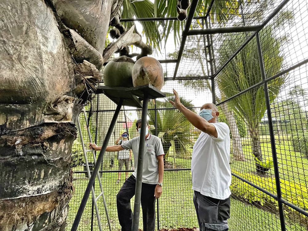 สวนนงนุช พัทยา