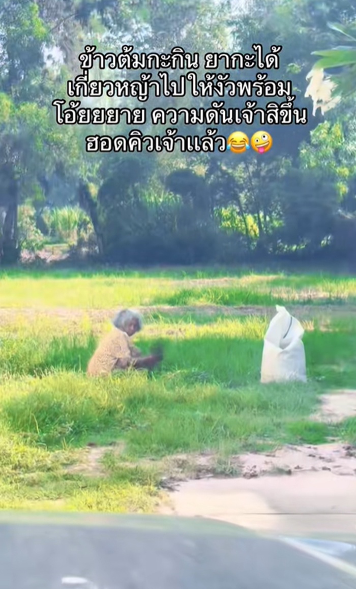 เกี่ยวหญ้า