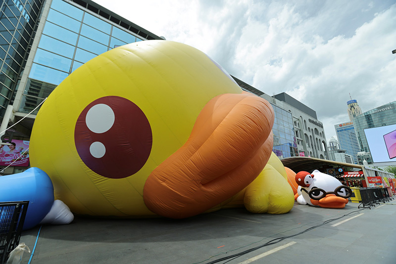 B.Duck Playful 20th เป็ดเหลืองยักษ์กลางกรุง