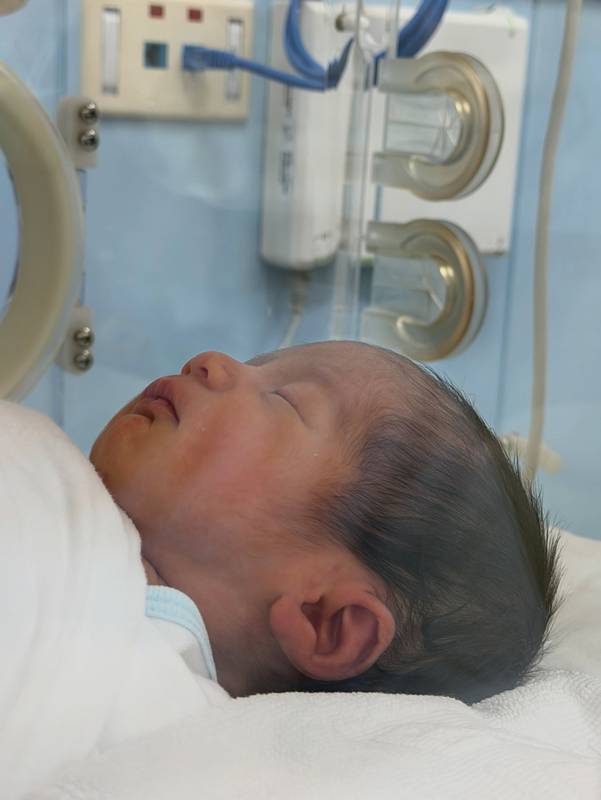 มายด์ ลภัสลัล คลอดลูก