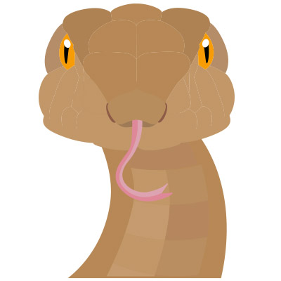 ดูดวง