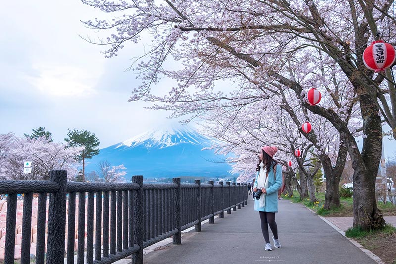 จุดถ่ายรูปภูเขาไฟฟูจิ