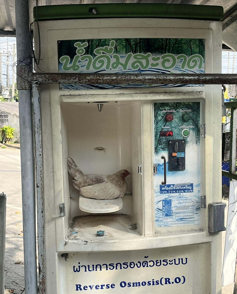 เติมน้ำ