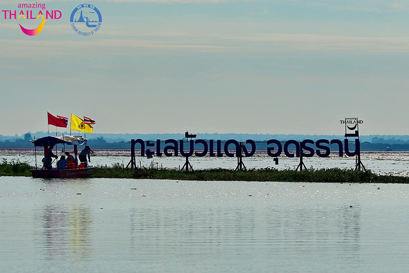 ทะเลบัวแดง อุดรธานี 2568-2569