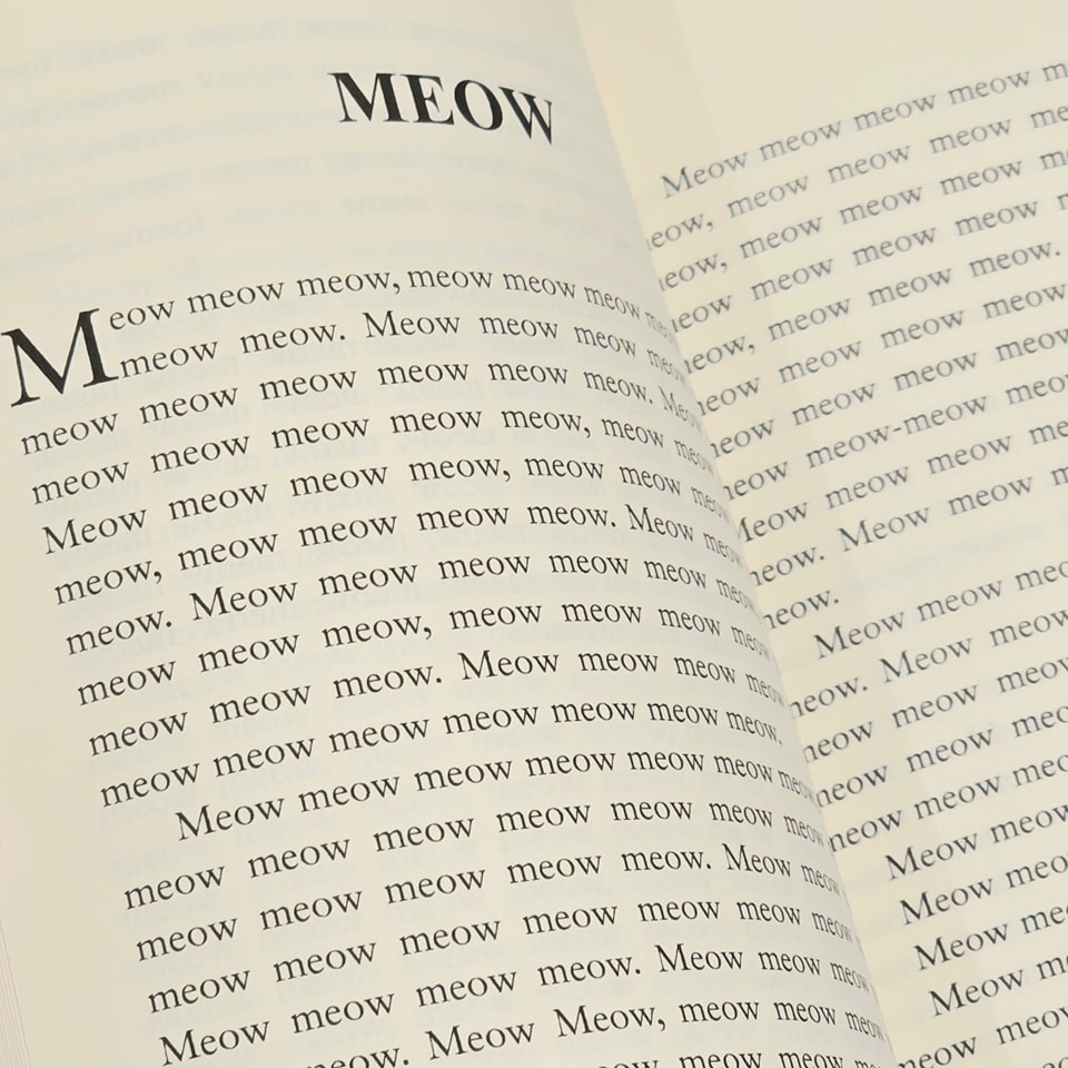 หนังสือแมว