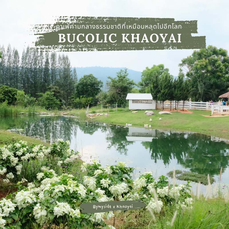Bucolic (บุ-ค-ลิก) คาเฟ่เขาใหญ่