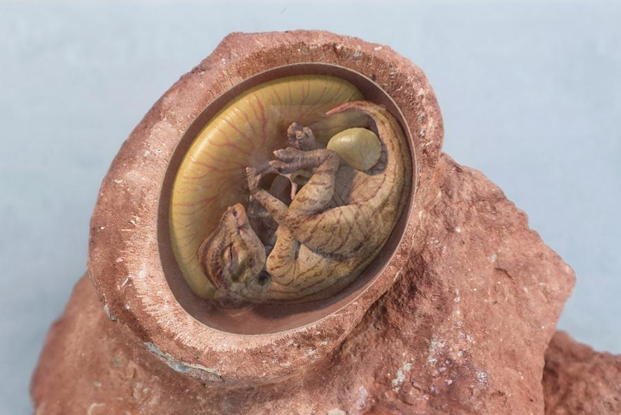 ฮาโดรซอร์