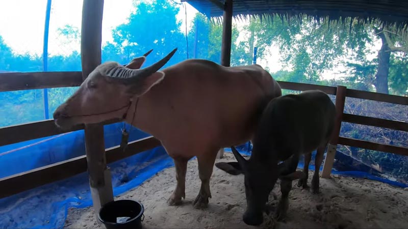 น้ำ รพีภัทร