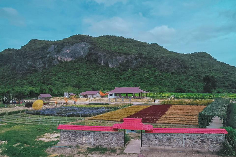 สวนวอนแดซอง กาญจนบุรี