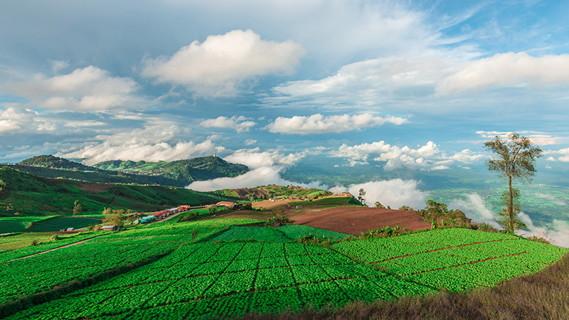 ที่เที่ยวปลายฝนต้นหนาว ภูทับเบิก