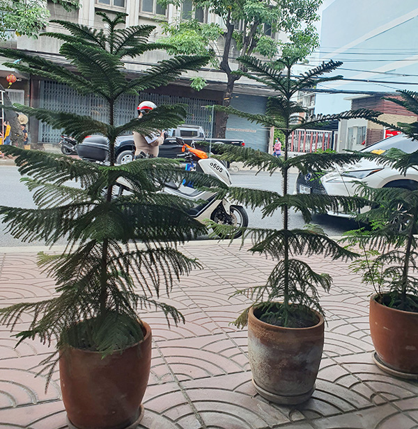 ร้านกาแฟ