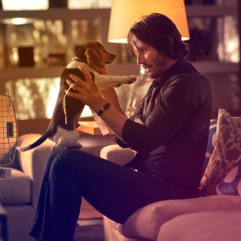John Wick: Chapter 5 คอนเฟิร์ม พร้อม จักรวาลจอห์น วิค หนังภาคแยก