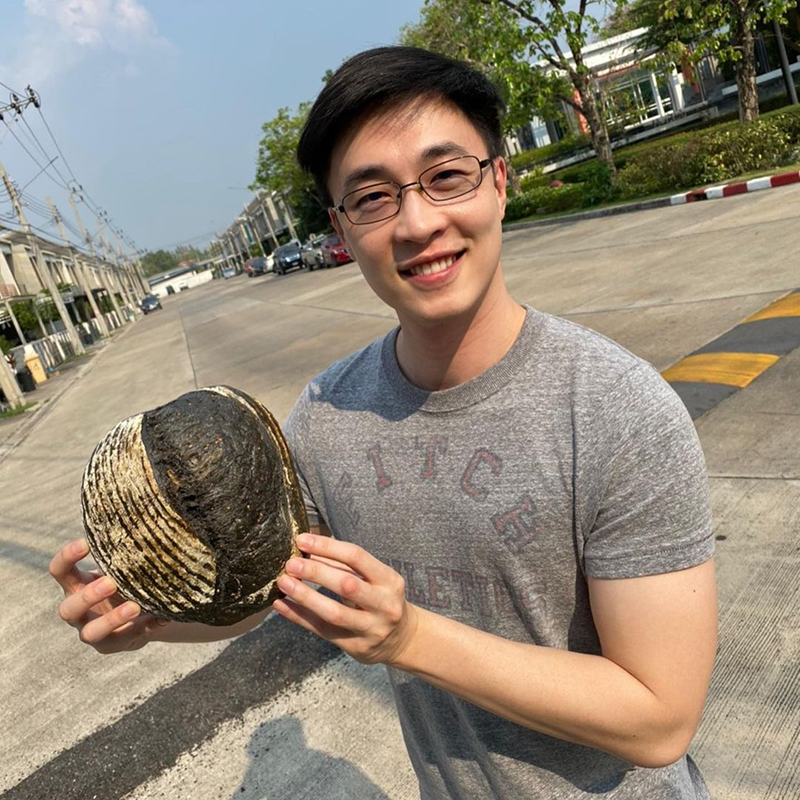 ไก่ ภาษิต