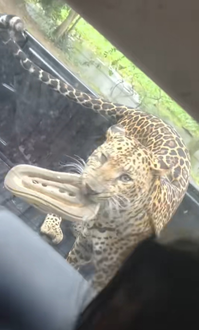 ขโมยของ