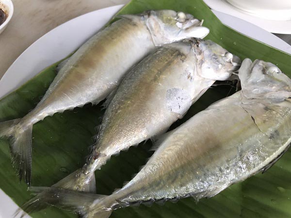 ปลาทูนึ่ง