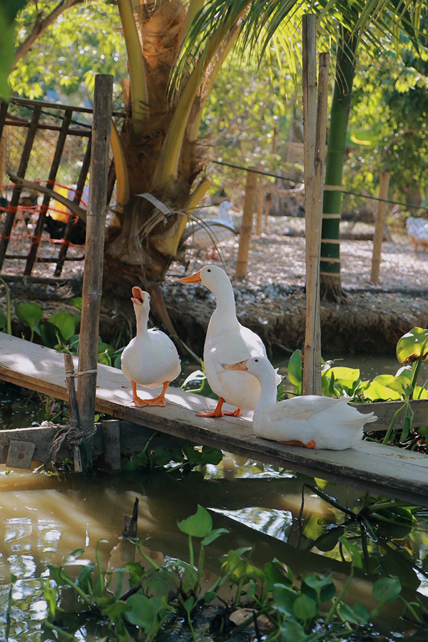 บ้านสวนกำไรสุข ร้านคาเฟ่ในสวน