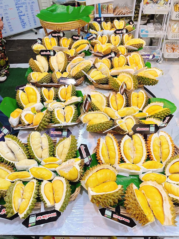 สวนผลไม้จันทบุรี 2569 ชบา รีสอร์ท จันทบุรี