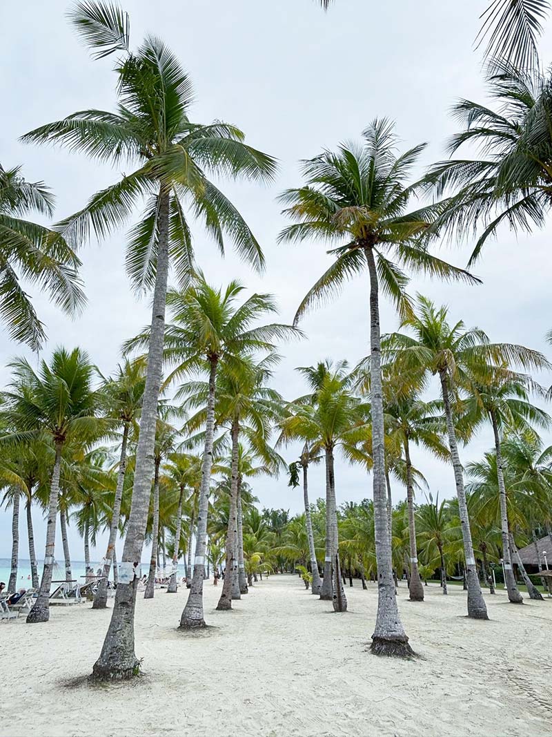 เที่ยวฟิลิปปินส์ เมือง Bohol กับ Panglao