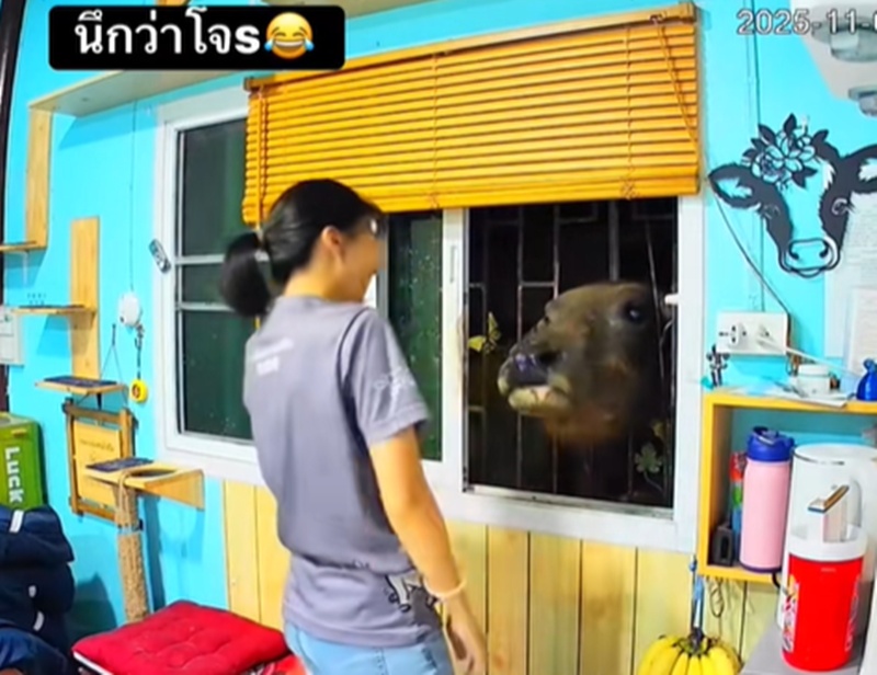 โจรทุบรถ