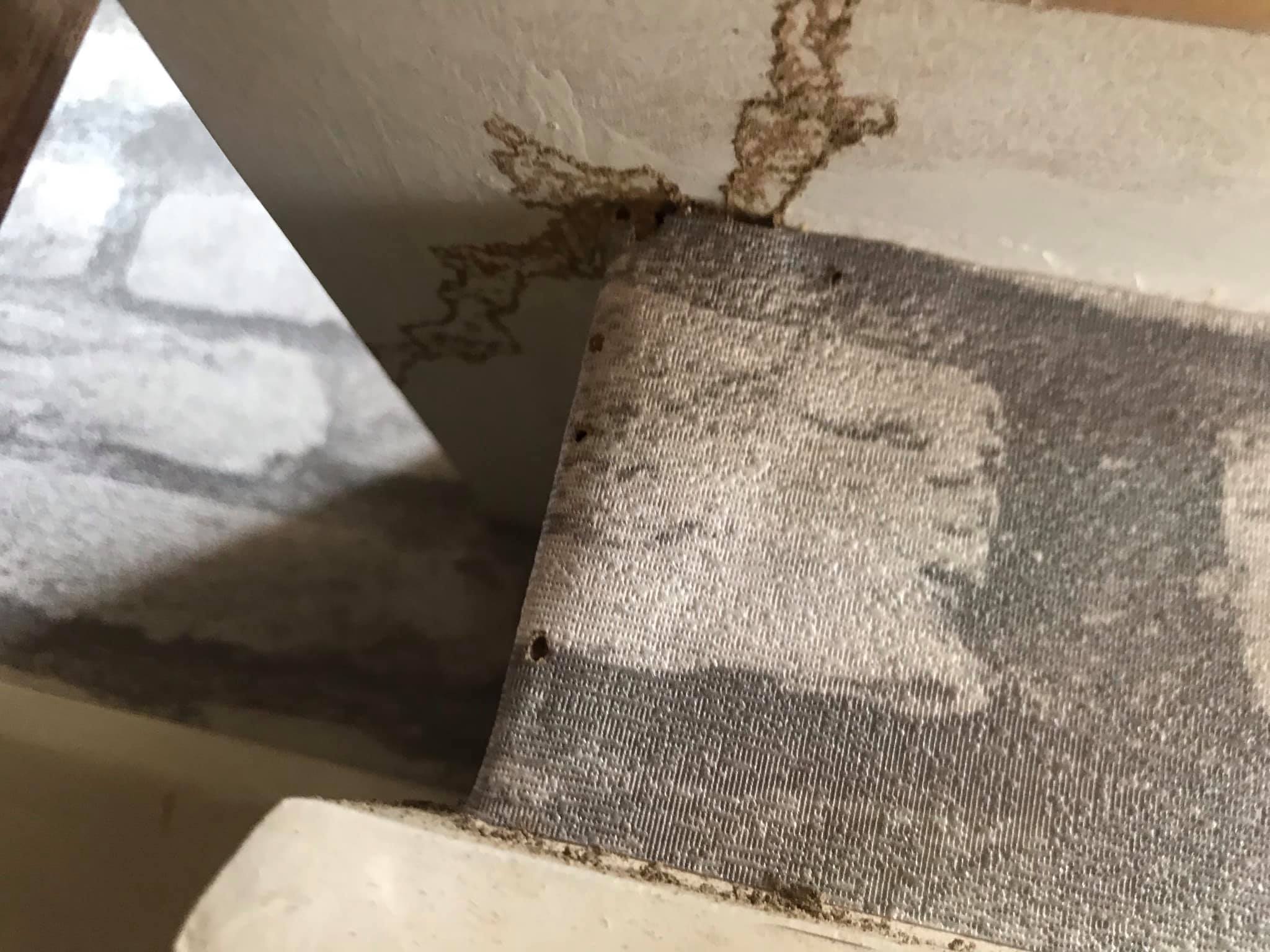 หนักแน่น นรินทร์โชติ 