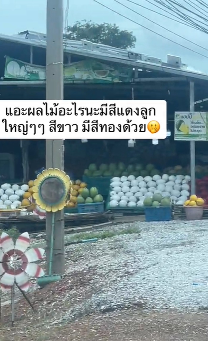 ขายผลไม้