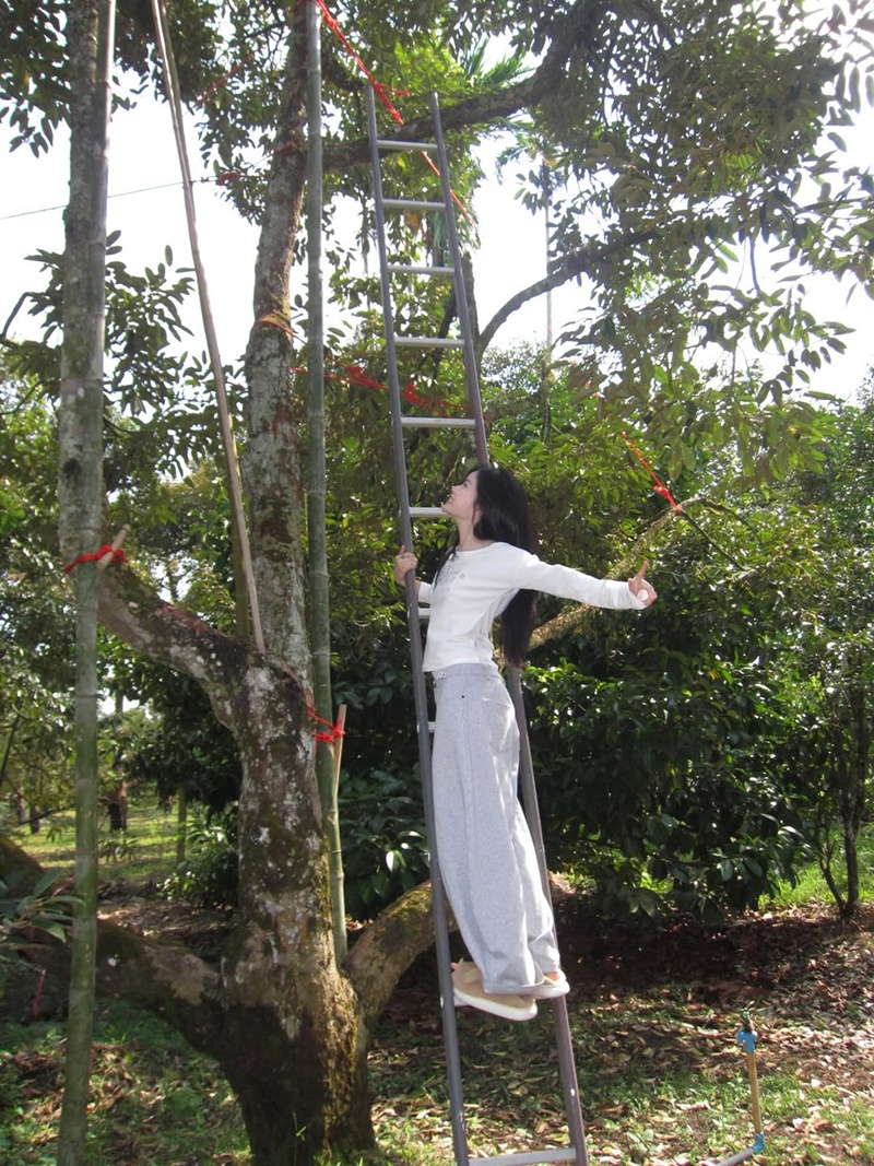 มาเบล PiXXiE