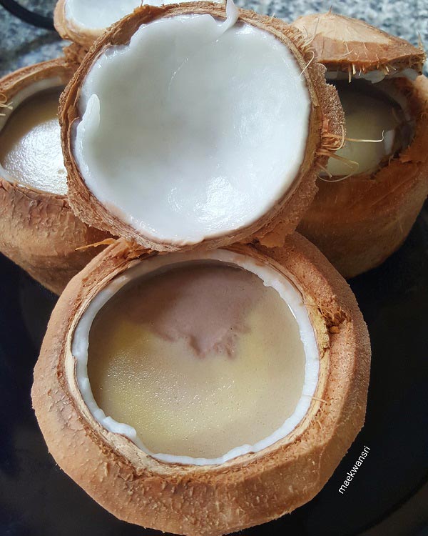 สังขยาไข่มะพร้าวอ่อน