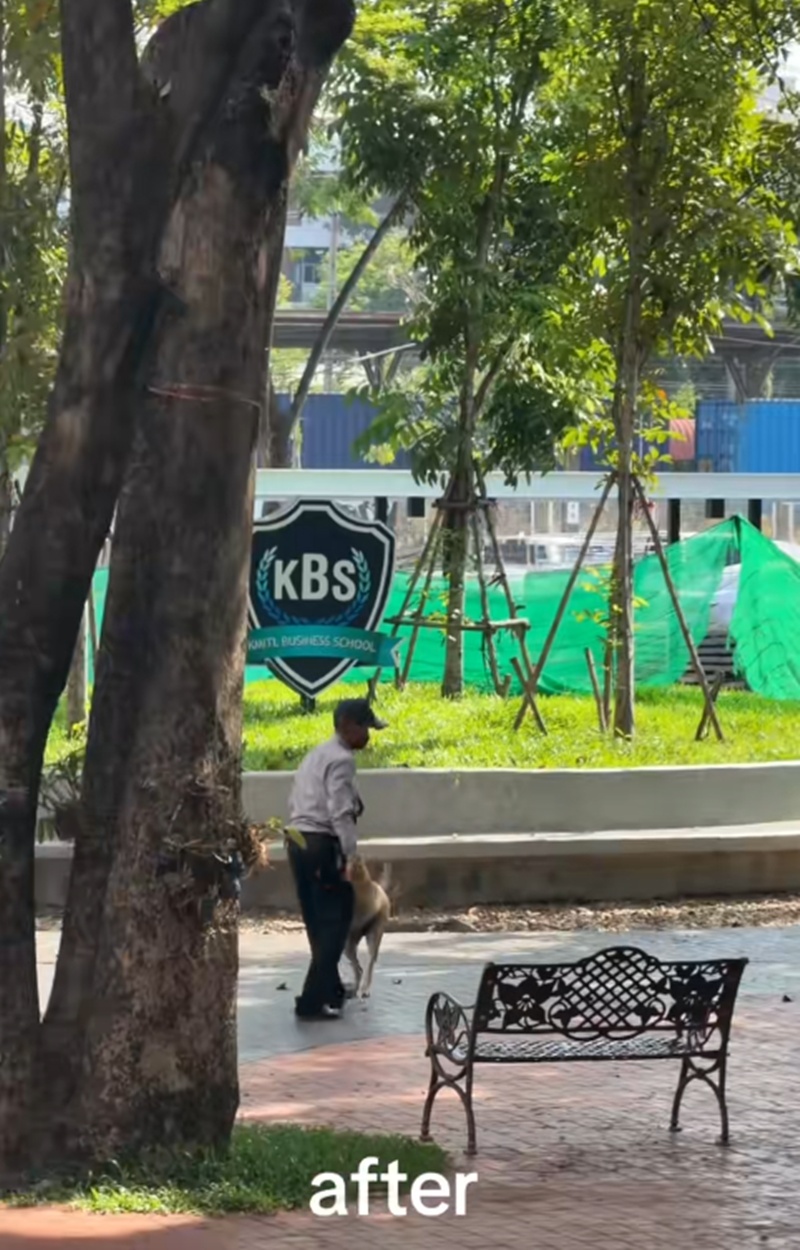 หมาไล่กัด