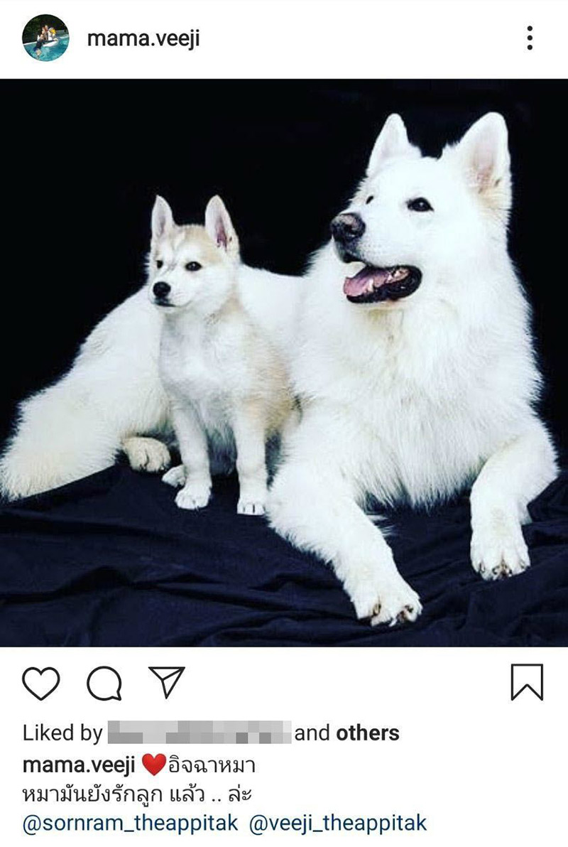 ติ๊ก บิ๊กบราเธอร์