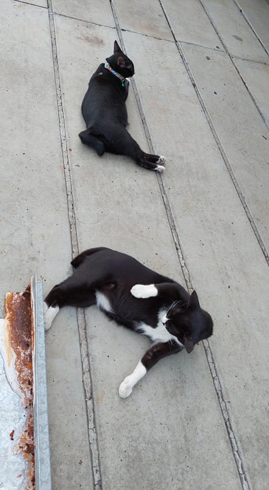 ตลาดนัดรถไฟรัชดา