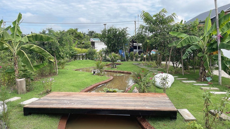 แปลงผัก