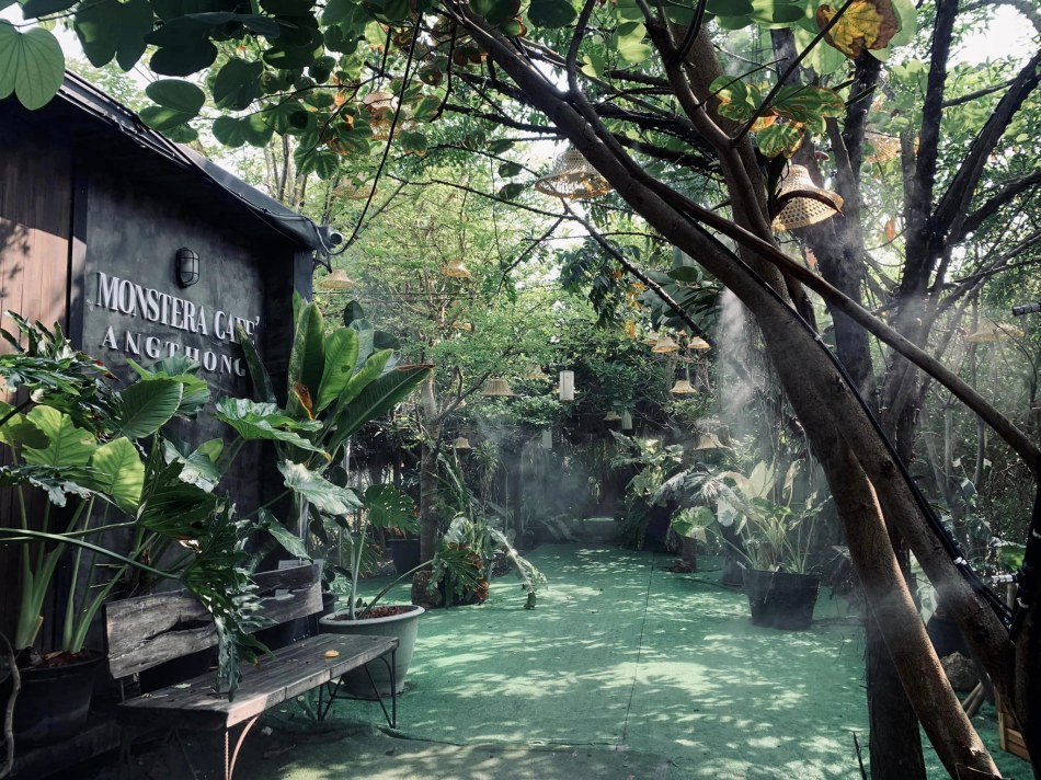 Monstera Cafe