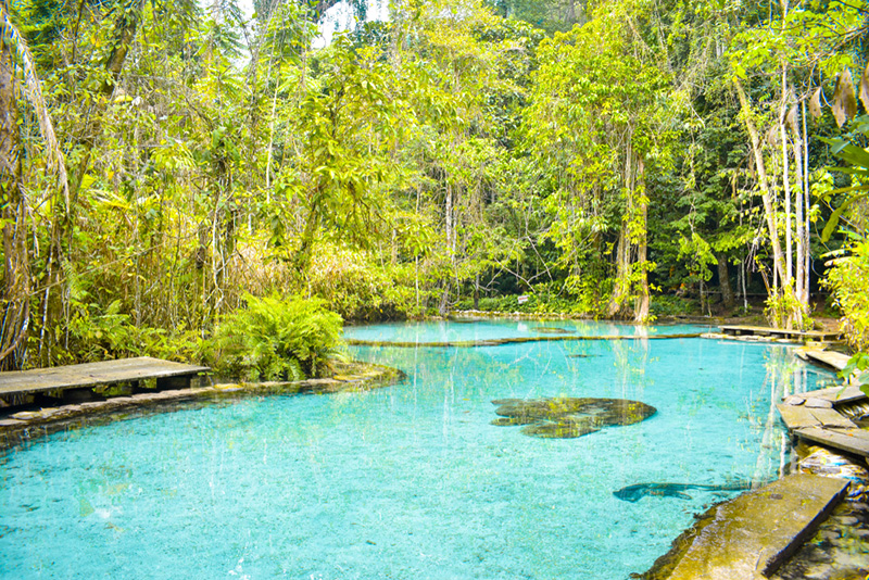 ที่เที่ยวปลายฝนต้นหนาว ป่าต้นน้ำราด