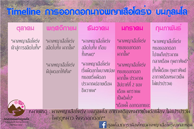 ภูลมโล 2564