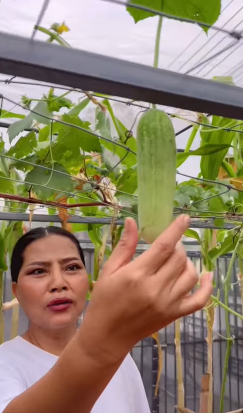 สุนารี ราชสีมา