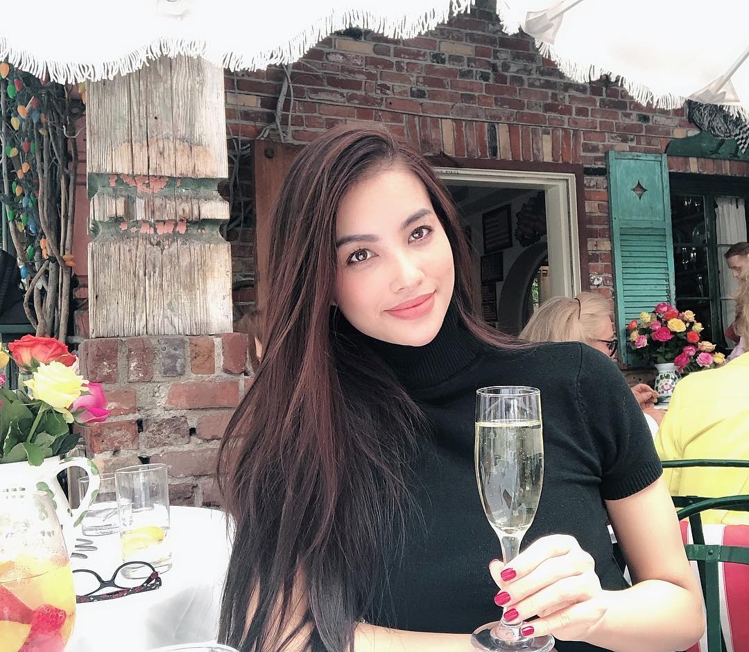 ฟาม เฮือง  มิสเวียดนาม 201