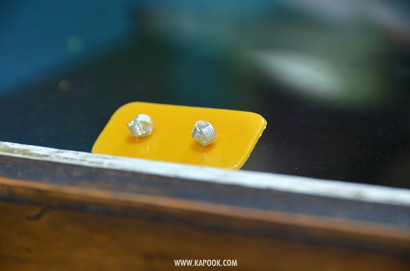 เที่ยวทะเลสาบอินเล เมียนมา