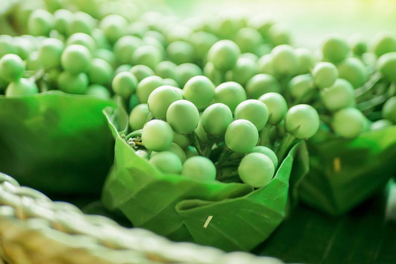 ผักที่มีธาตุเหล็กสูง