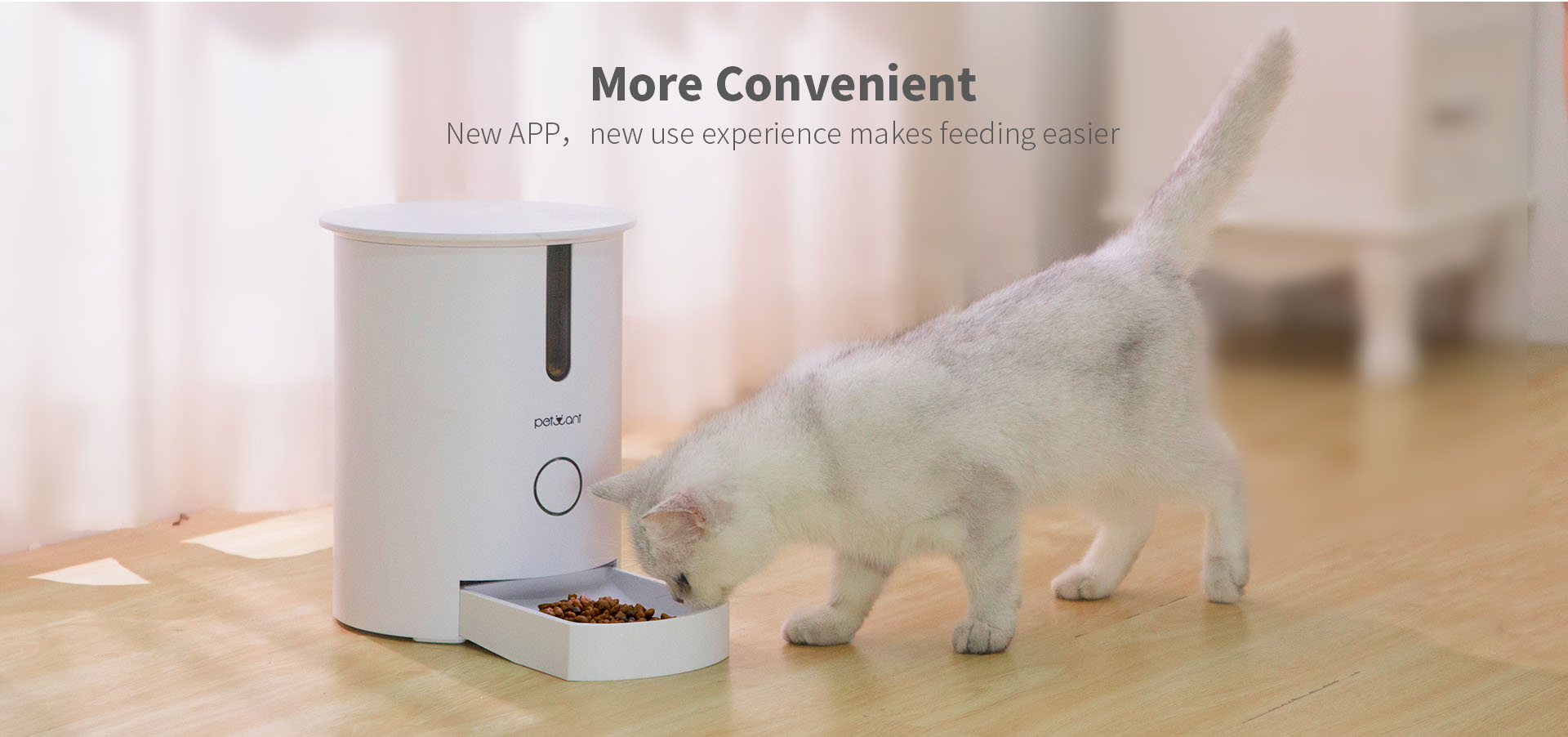 เครื่องให้อาหารแมวอัตโนมัติ