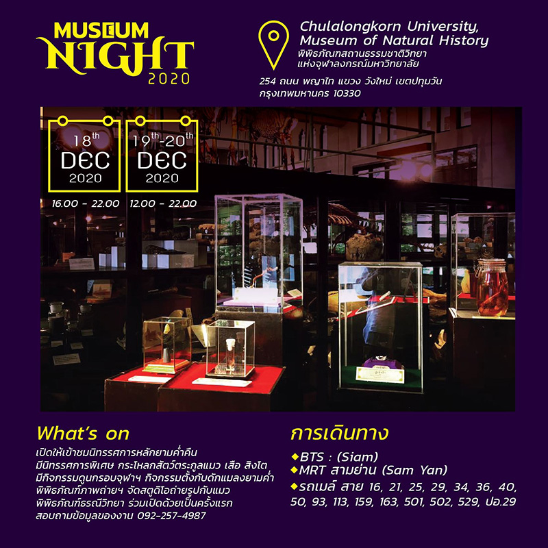 Night at the Museum 2020