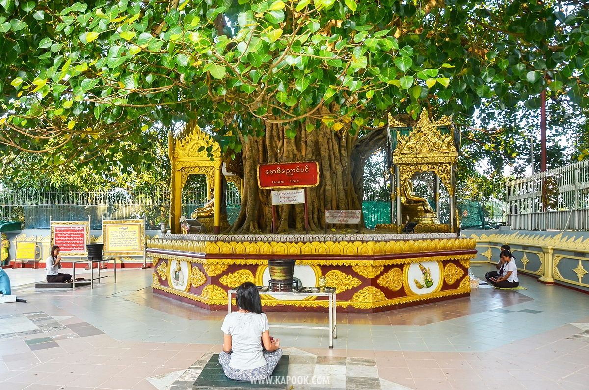 เที่ยวย่างกุ้ง เมียนมา