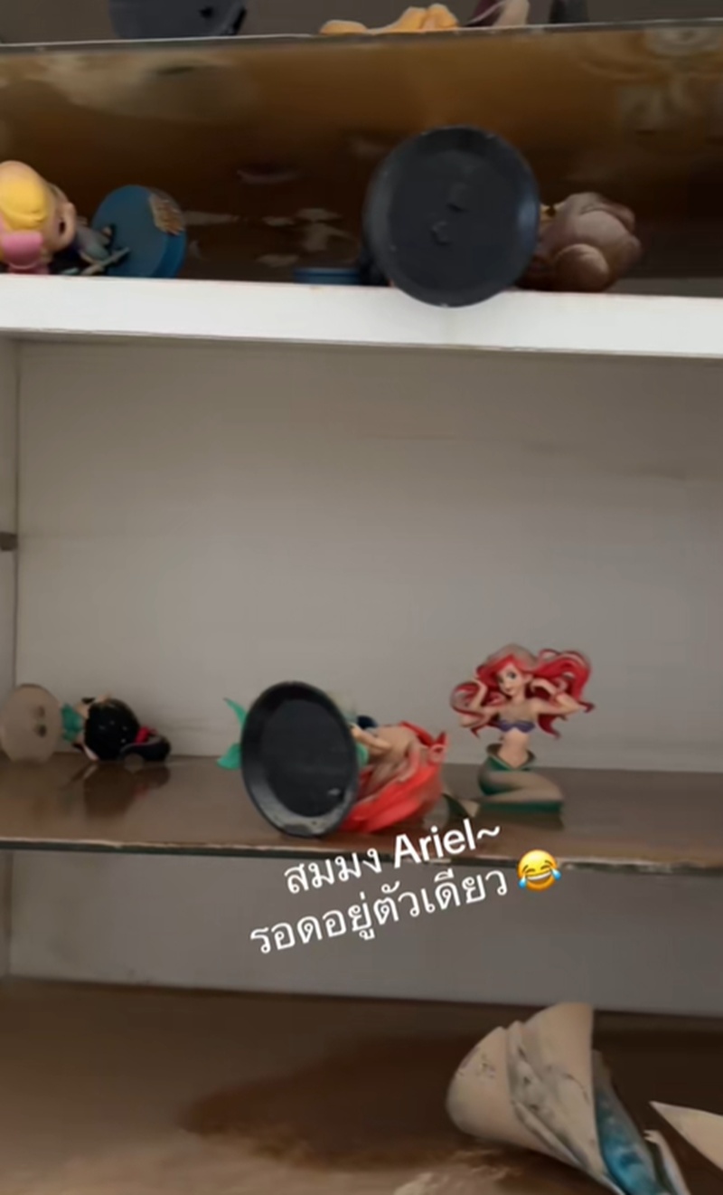 ของสะสม