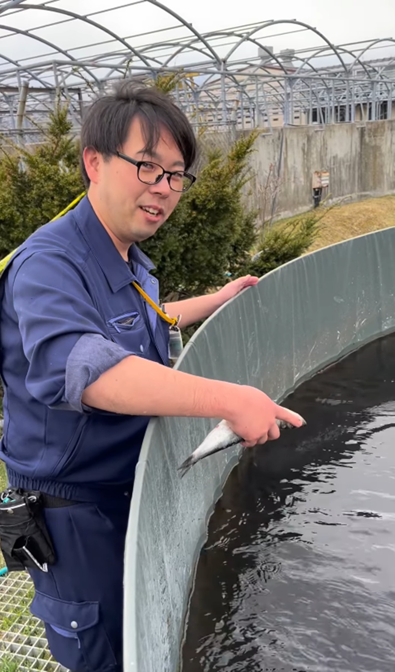 ให้อาหารปลา